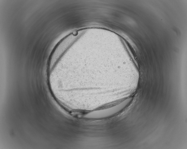 X0000111941142200909071254
