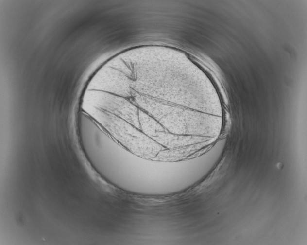 X0000111941144200909071254