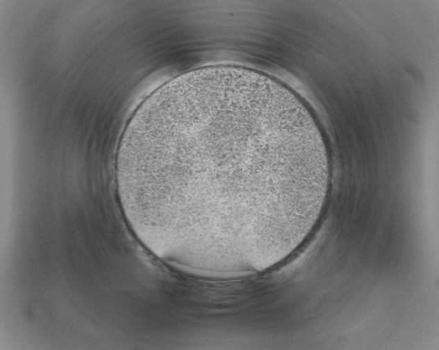 X0000111941145200909071254