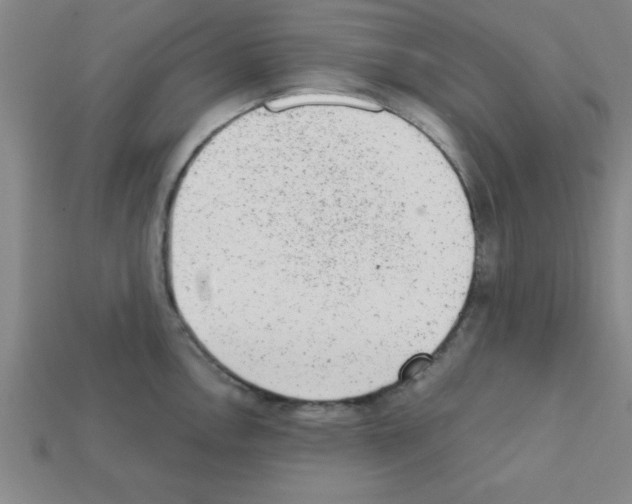 X0000111941146200909071254