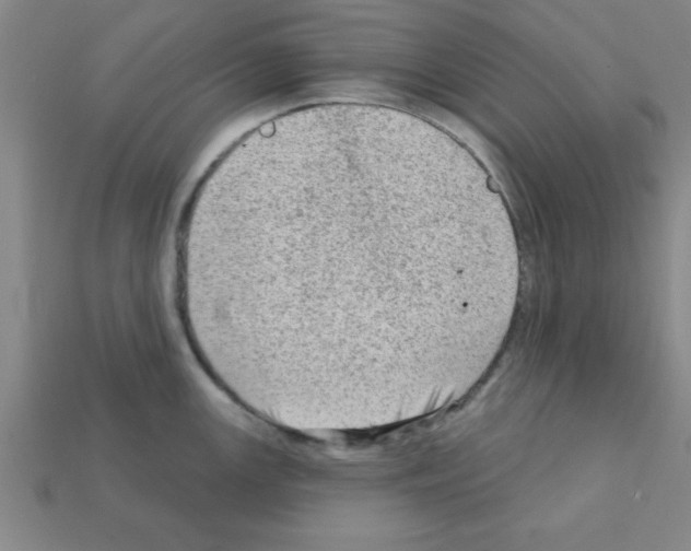 X0000111941147200909071254