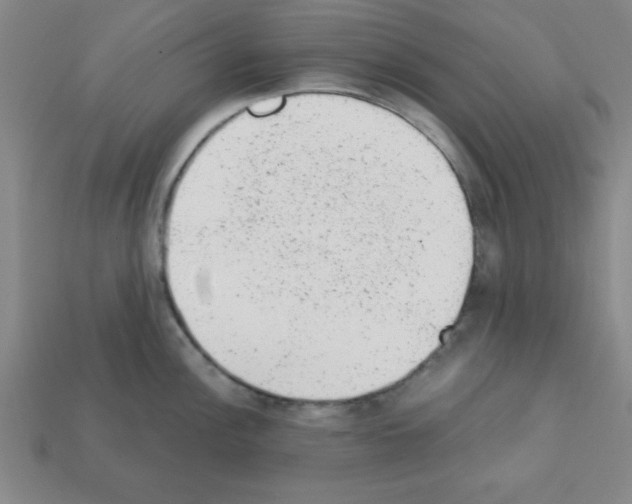 X0000111941148200909071254