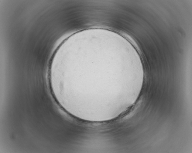 X0000111941149200909071254