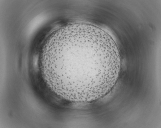 X0000111941150200909071254