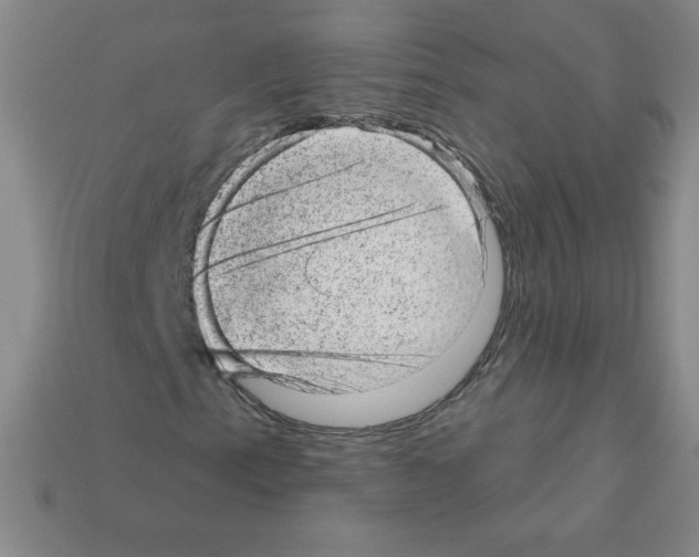 X0000111941153200909071253