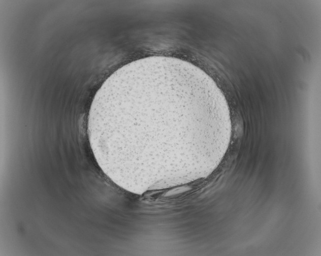 X0000111941156200909071253
