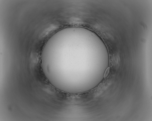 X0000111941157200909071253