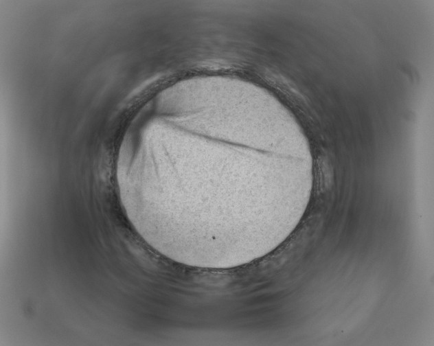 X0000111941158200909071253