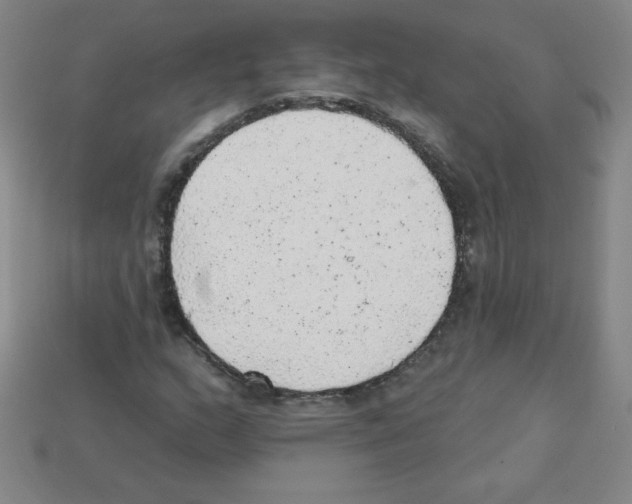 X0000111941159200909071253