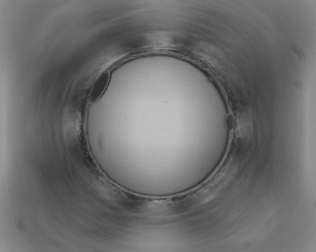 X0000111941161200909071253