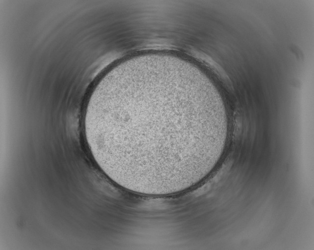 X0000111941162200909071253