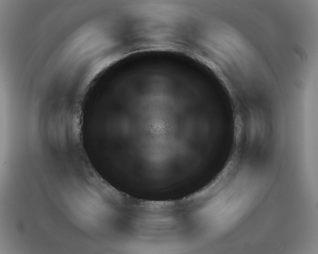 X0000111941163200909071253
