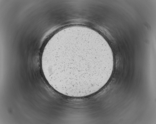 X0000111941164200909071253