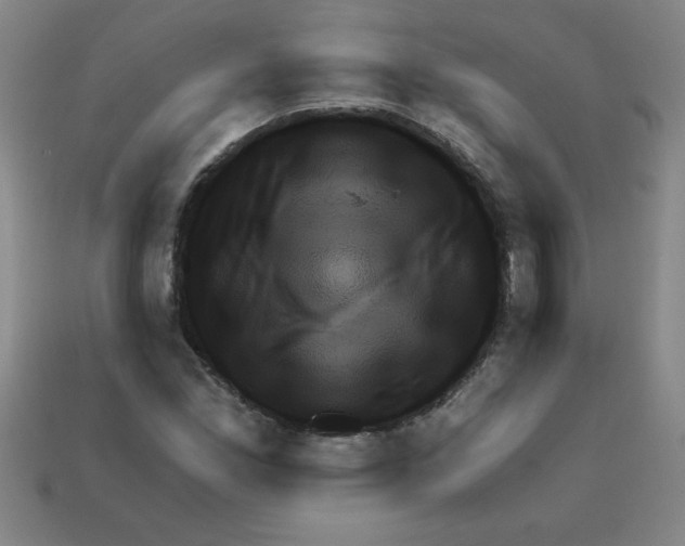 X0000111941165200909071253