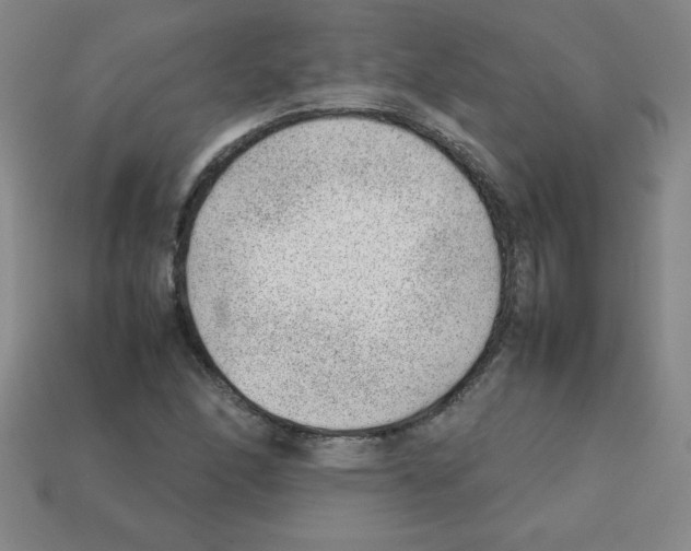 X0000111941166200909071253