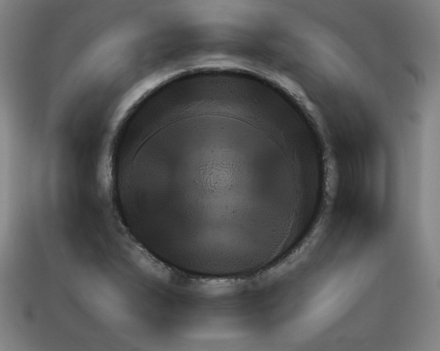 X0000111941167200909071253