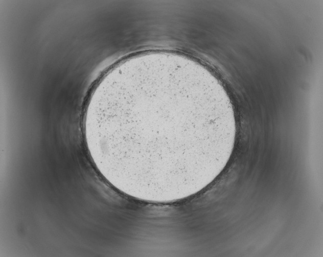 X0000111941168200909071253