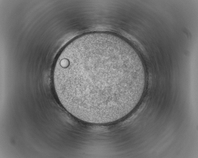 X0000111941170200909071253