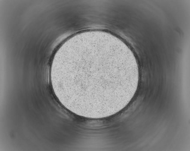 X0000111941171200909071253