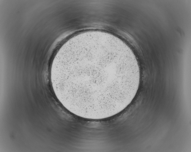 X0000111941172200909071253