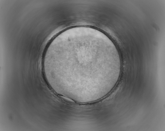 X0000111941173200909071253