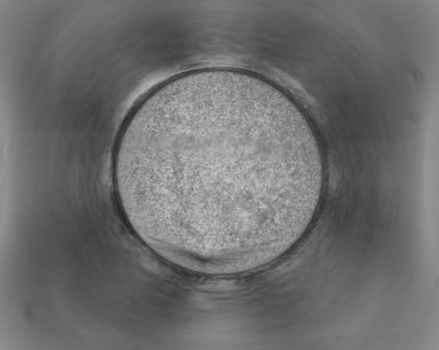 X0000111941174200909071253