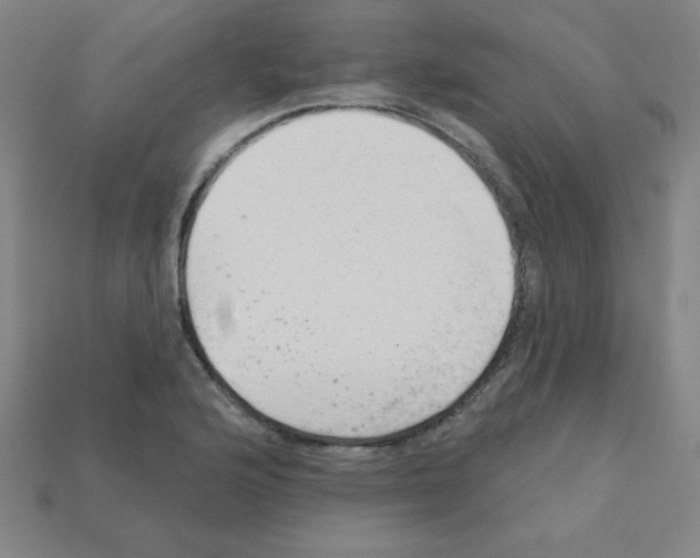 X0000111941176200909071253
