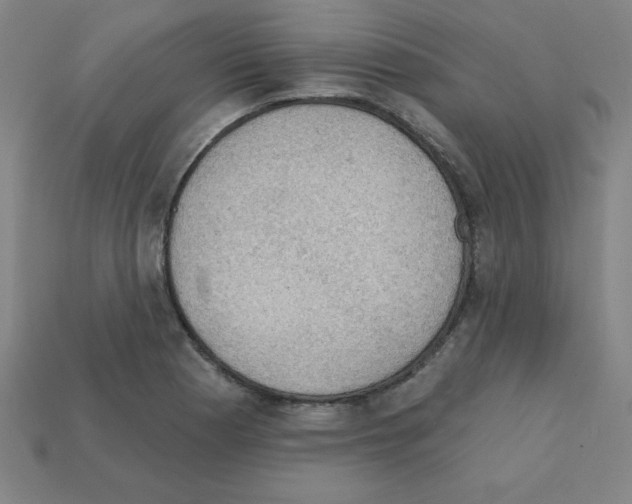 X0000111941177200909071253