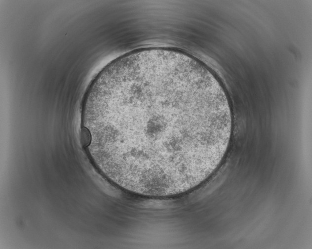 X0000111941179200909071253