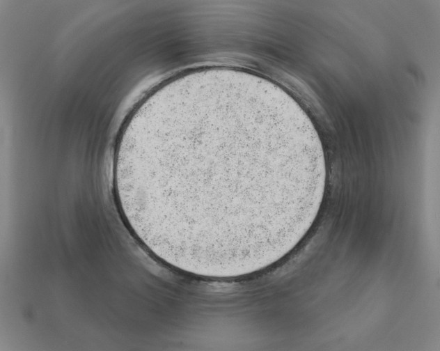X0000111941180200909071253