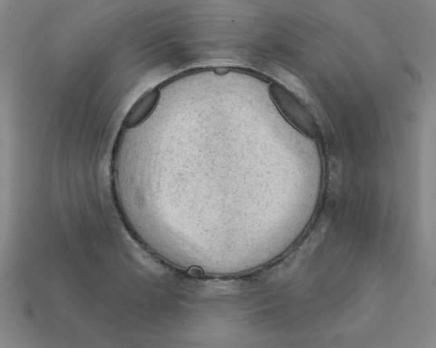 X0000111941181200909071253
