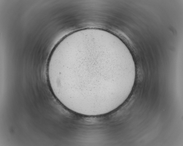 X0000111941182200909071253