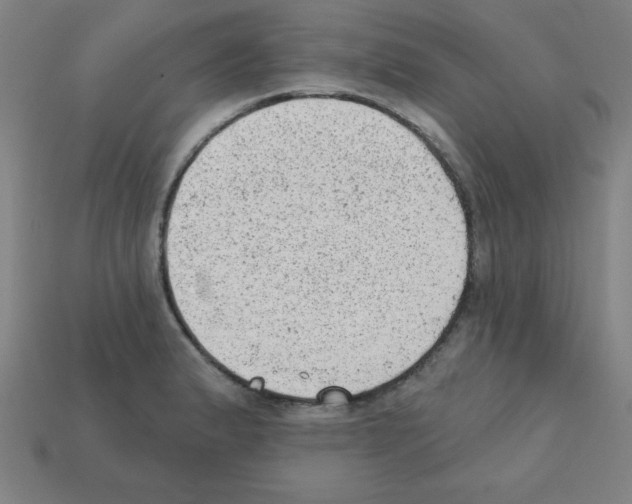 X0000111941183200909071253