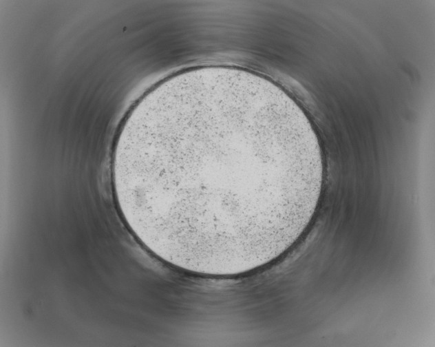 X0000111941184200909071253