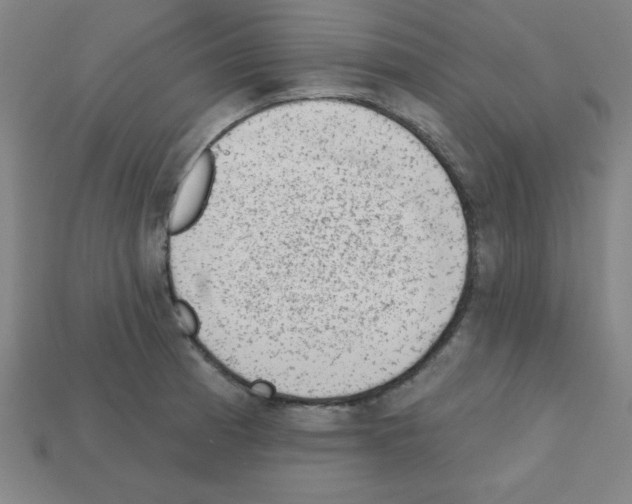 X0000111941185200909071253