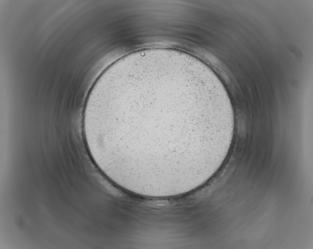 X0000111941186200909071253