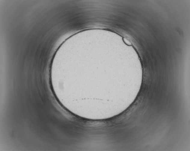 X0000111941187200909071253