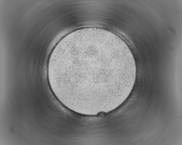 X0000111941188200909071253