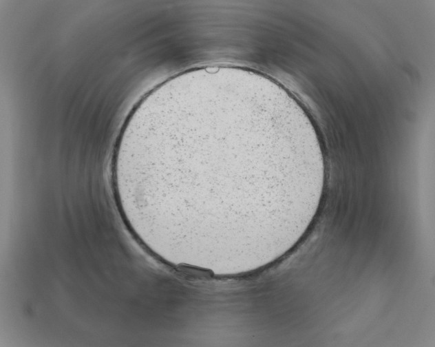 X0000111941189200909071253