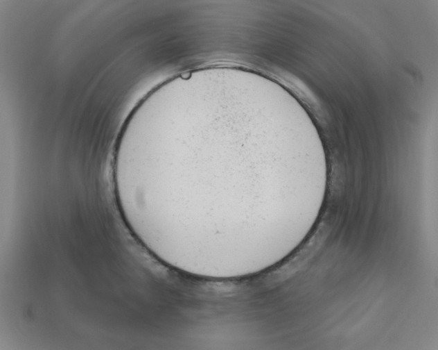 X0000111941190200909071253