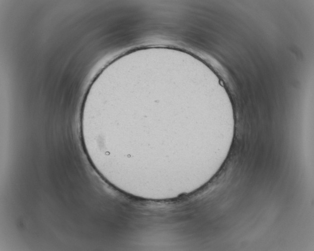 X0000111941191200909071253