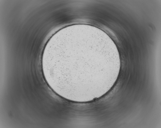 X0000111941192200909071253