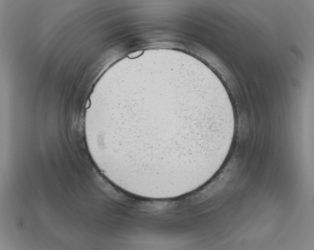 X0000111941193200909071253
