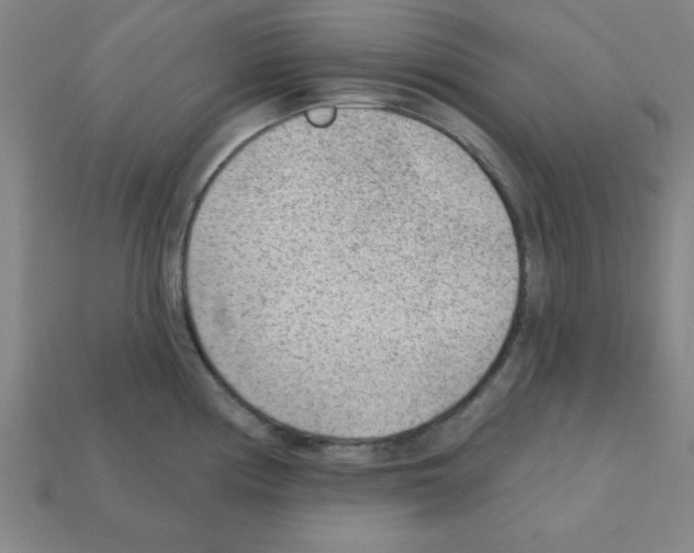 X0000111941194200909071253