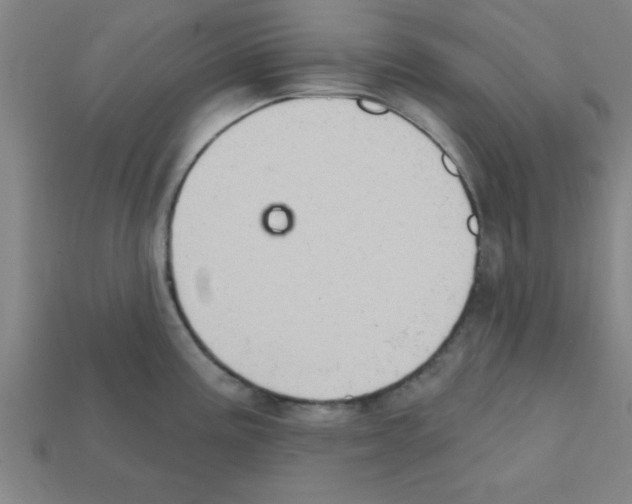 X0000111941195200909071253