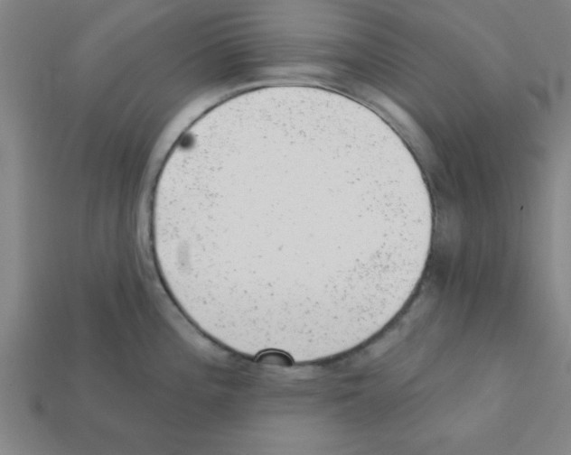X0000111941196200909071253