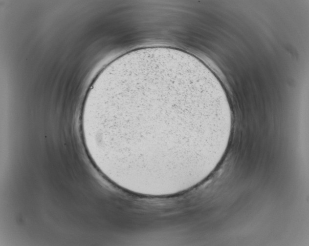X0000111941197200909071253