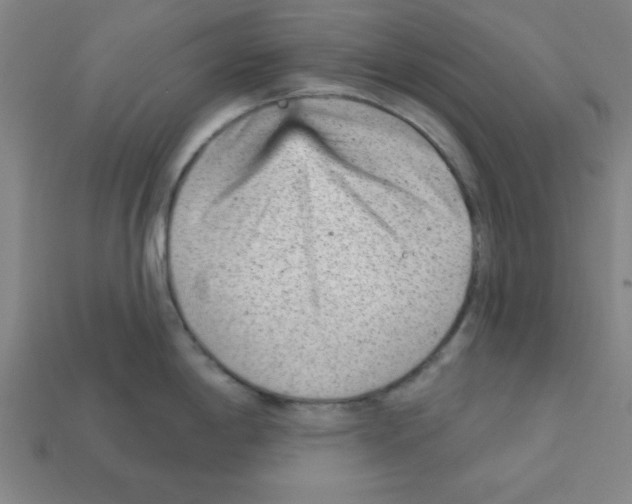 X0000111941198200909071253