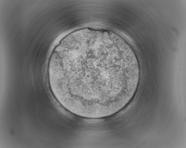X0000111941200200909071253