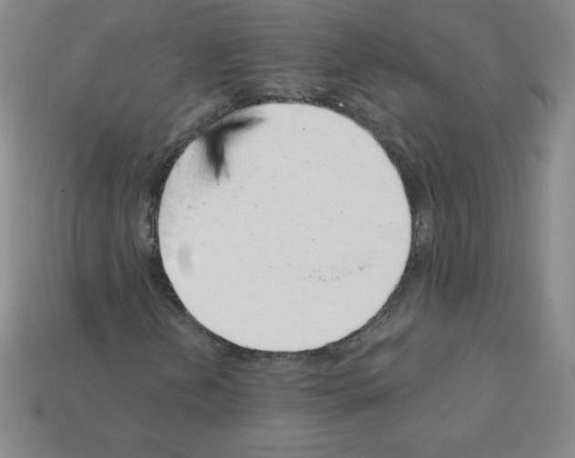 X0000111941202200909071252